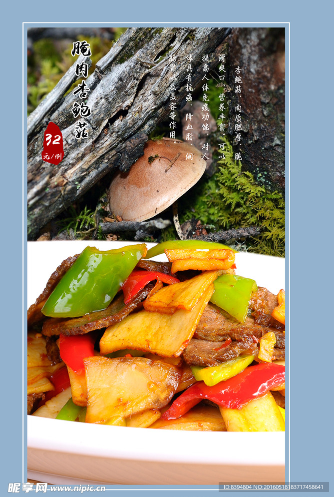 菜谱  内页设计 蘑菇