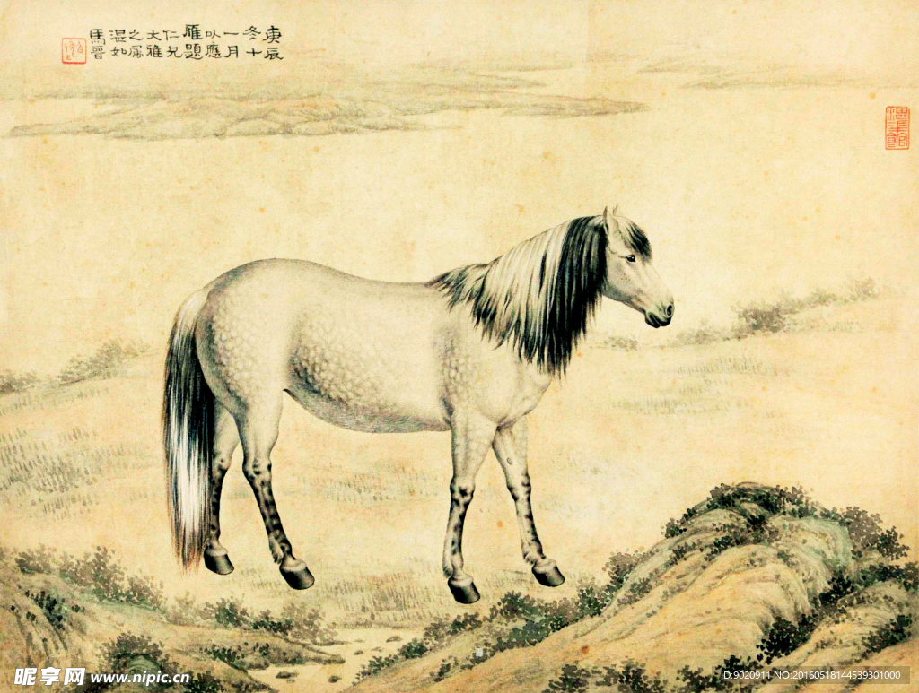 马晋 马