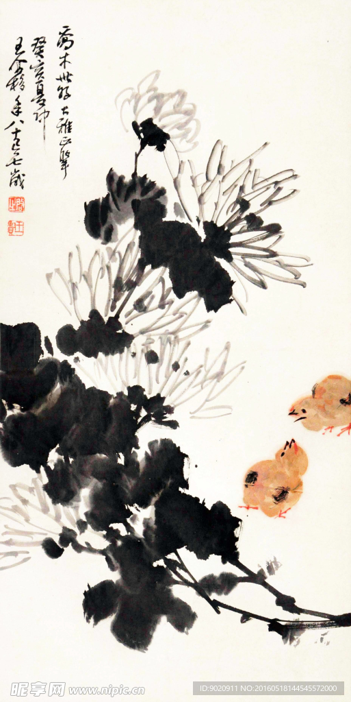 王个移 菊花小鸡