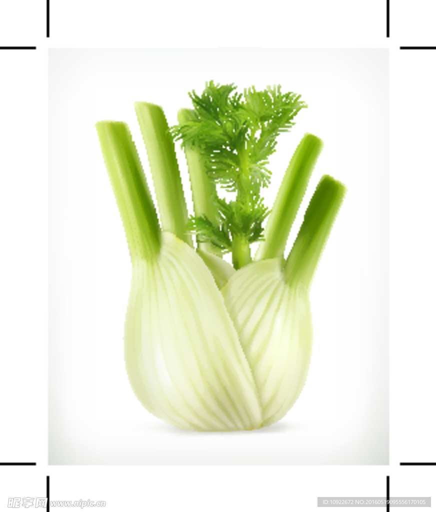 蔬菜水果设计