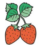 草莓