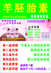 姬灵羊胚胎素彩页