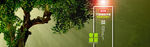 夏季banner