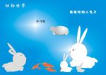 兔子
