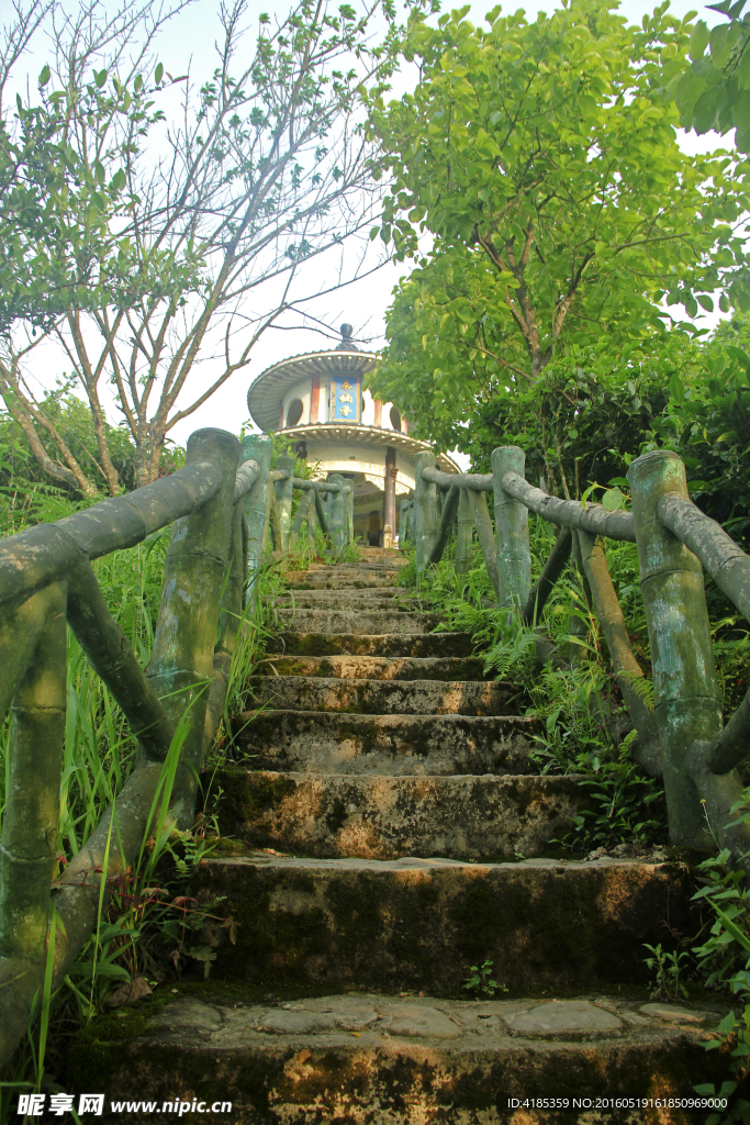 凌云茶山景区