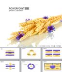 简约PPT   简洁PPT
