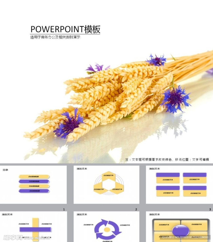 简约PPT   简洁PPT