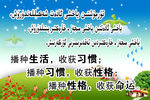 收获习惯