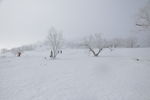 雪景
