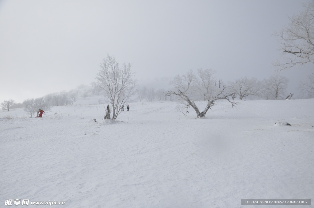 雪景