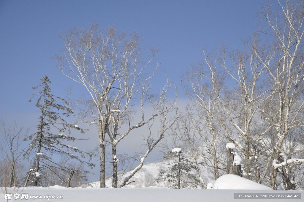 雪景  雪地