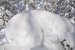 雪景 雪地