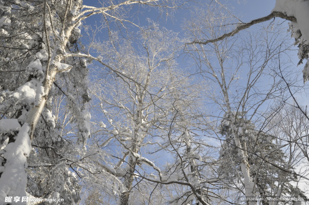 雪景