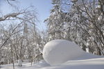 雪景