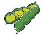 豆角