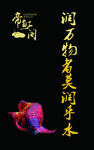 养鱼展板