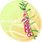 精美花纹底纹