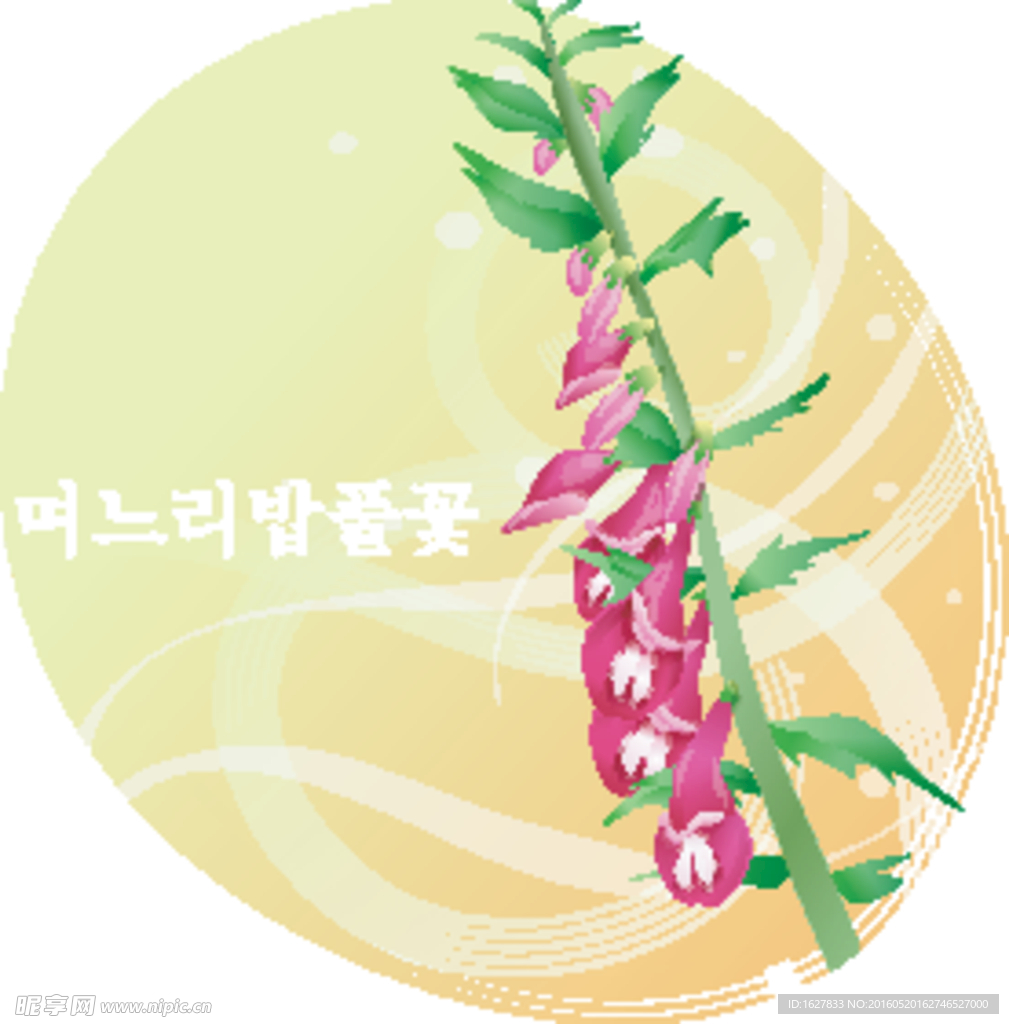 精美花纹底纹