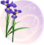 精美花纹底纹