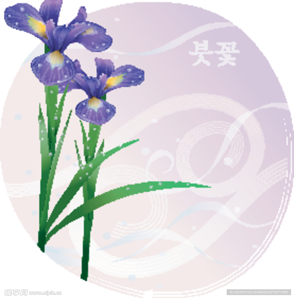 精美花纹底纹