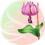 精美花纹底纹