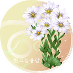 精美花纹底纹
