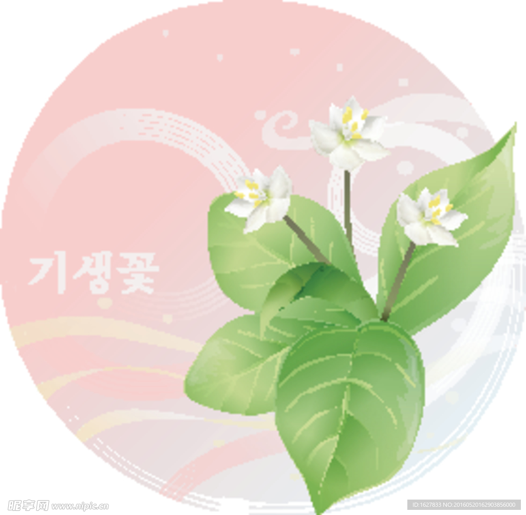 精美花纹底纹