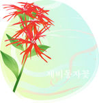 精美花纹底纹