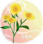 精美花纹底纹
