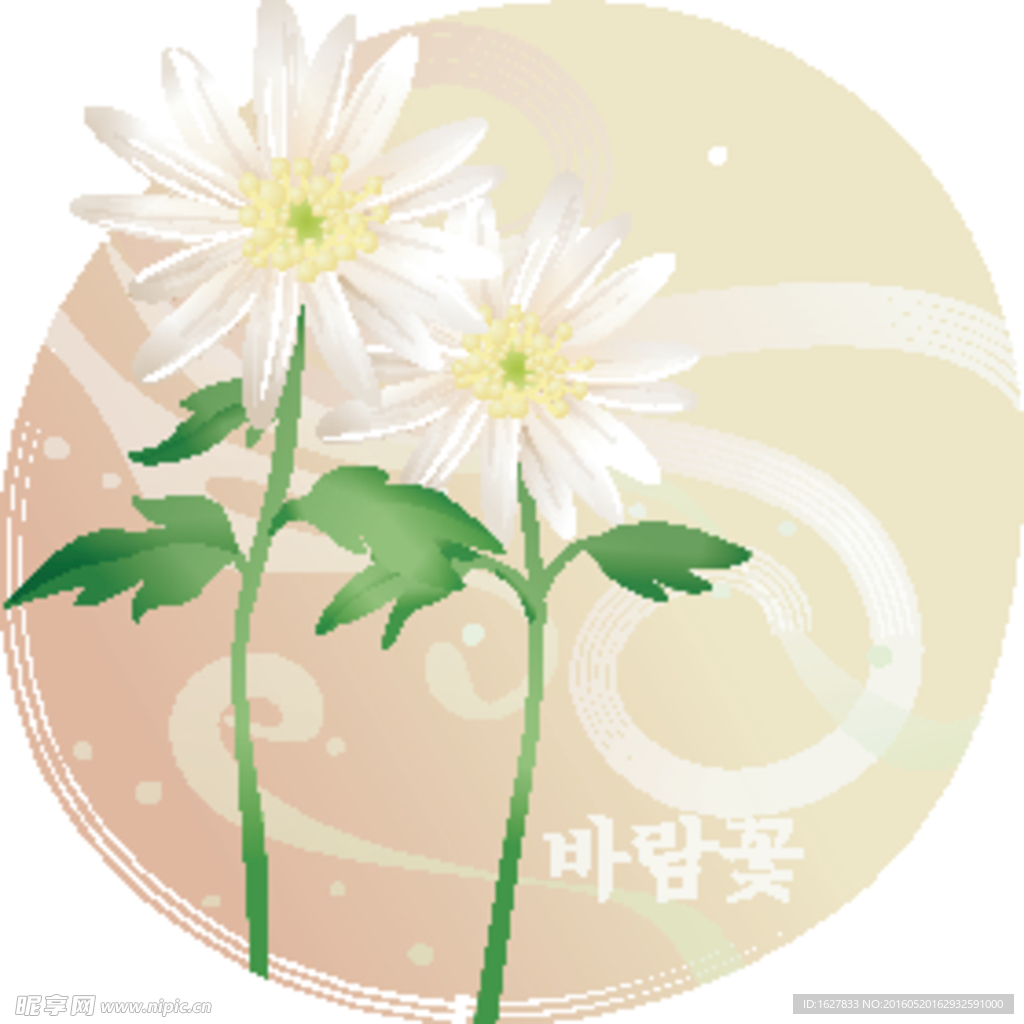 精美花纹底纹