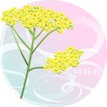 精美花纹底纹