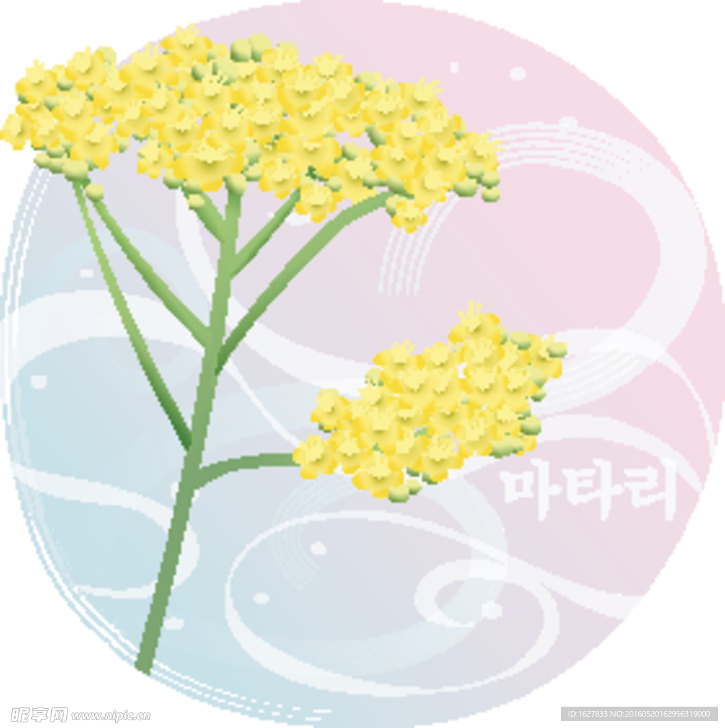 精美花纹底纹