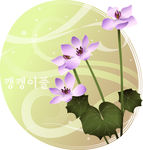 精美花纹底纹
