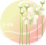 精美花纹底纹