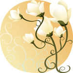 精美花纹底纹