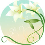 精美花纹底纹