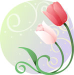 精美花纹底纹