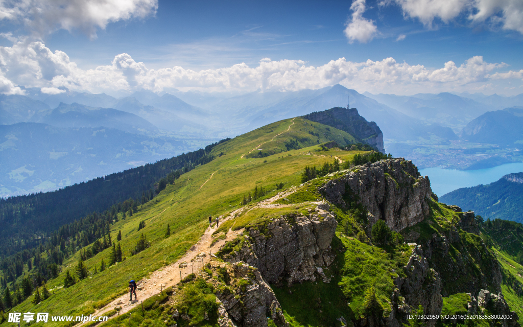 山
