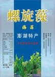 海藻矢量图