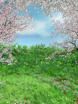 桃花风景图