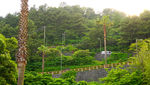 盘山道
