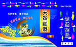 天然鲫鱼