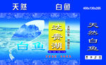白鱼