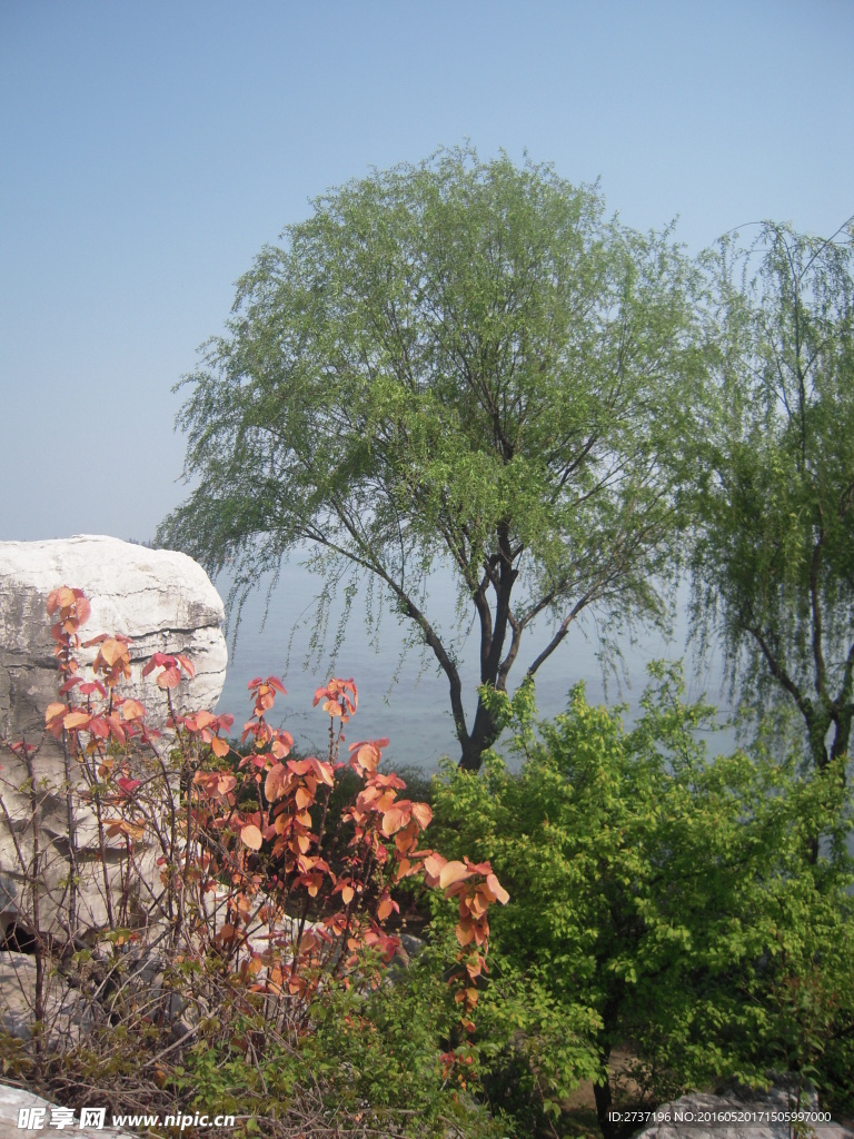 无锡太湖风景