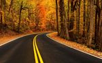 公路