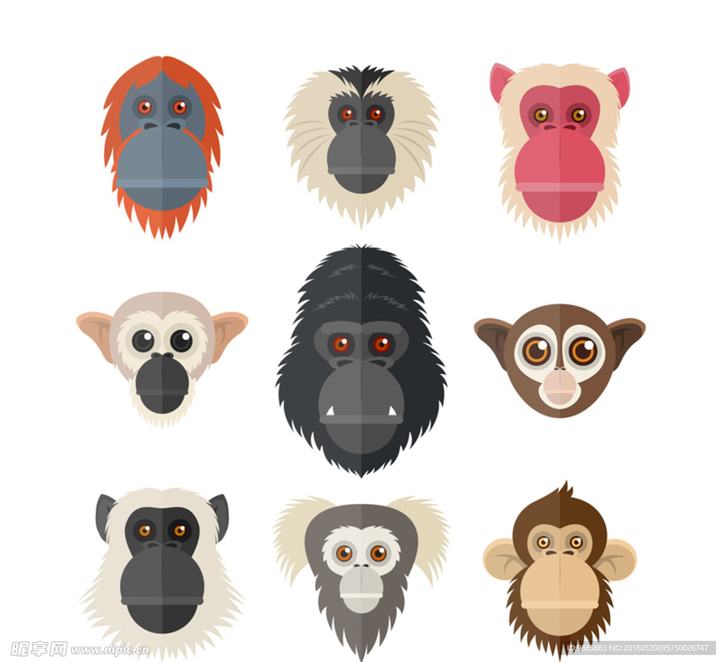 猴子头像