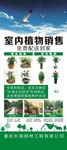 植物销售易拉宝