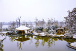 冬日湖边雪景