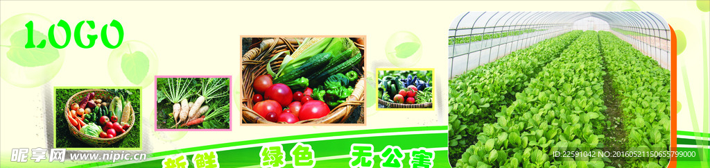 有机蔬菜