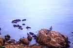 海岸